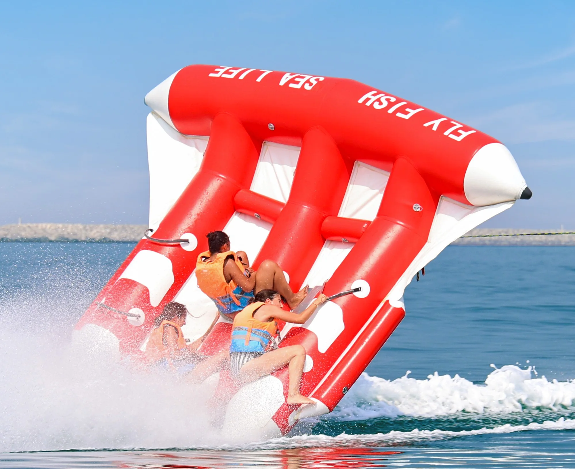 Fly Fish Ride Dubai
